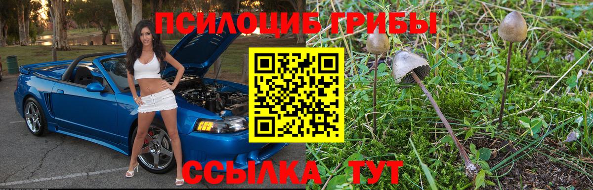 Псилоцибиновые грибы мицелий  Вход с VPN  цена наркотик  Прокопьевск 