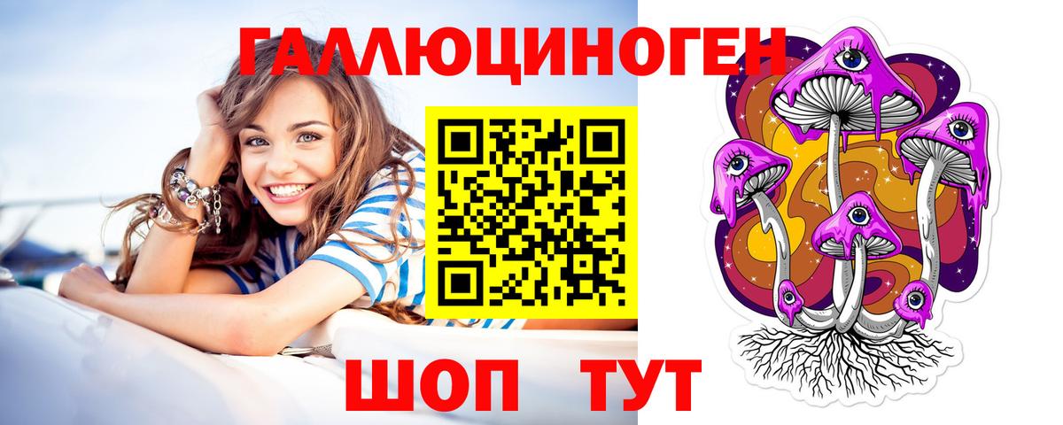 Галлюциногенные грибы Psilocybine cubensis Прокопьевск
